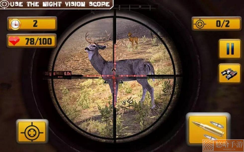 Wild Animal Shooting