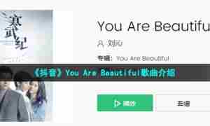 《抖音》You Are Beautiful歌曲介绍