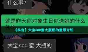 《抖音》大宝SOD蜜大瓶梗的意思介绍